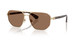Light Gold / Dark Brown (110973)