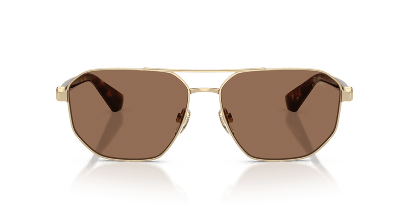 Light Gold / Dark Brown (110973)-variant-image