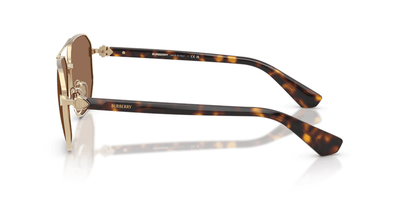 Light Gold / Dark Brown (110973)-variant-image