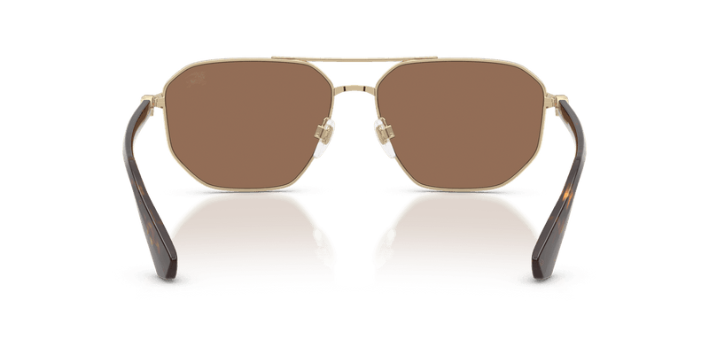 Light Gold / Dark Brown (110973)-variant-image