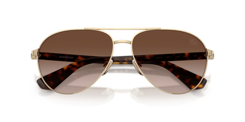 Light Gold / Brown Gradient (110913)-swatch