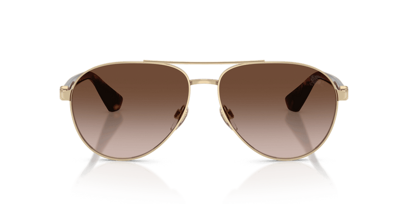 Light Gold / Brown Gradient (110913)-variant-image