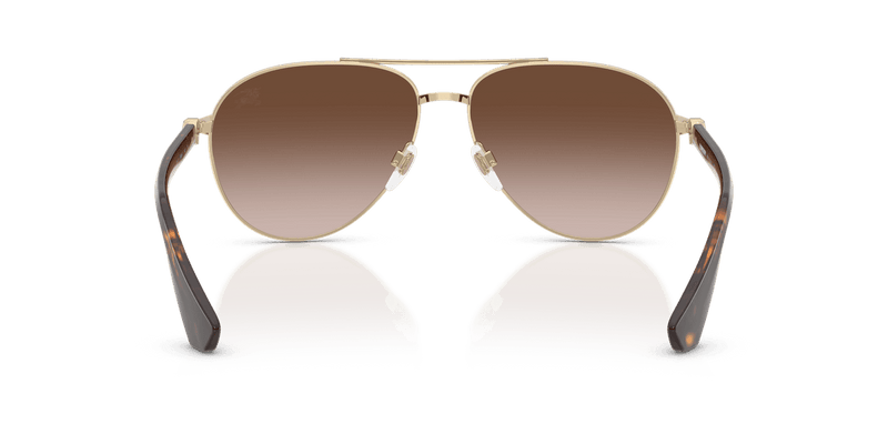 Light Gold / Brown Gradient (110913)-variant-image