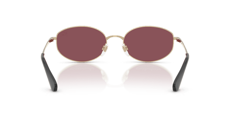 Light Gold / Purple Polarized (11095Q)-variant-image