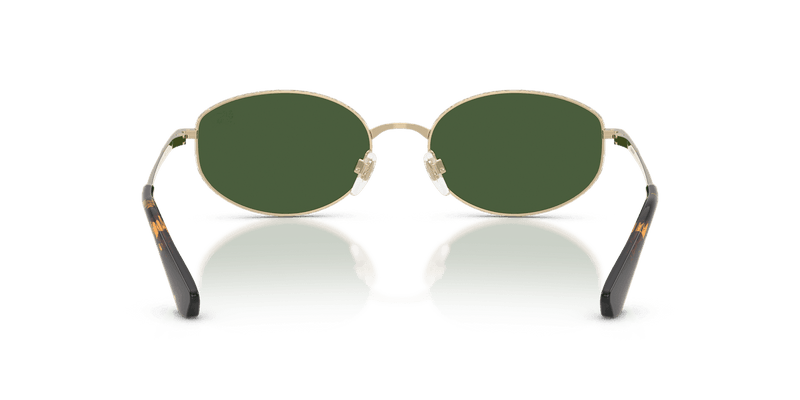 Light Gold / Dark Green (110971)-variant-image