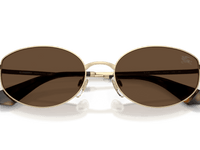 Light Gold / Dark Brown (110973)