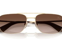 Light Gold / Brown Gradient (110913)