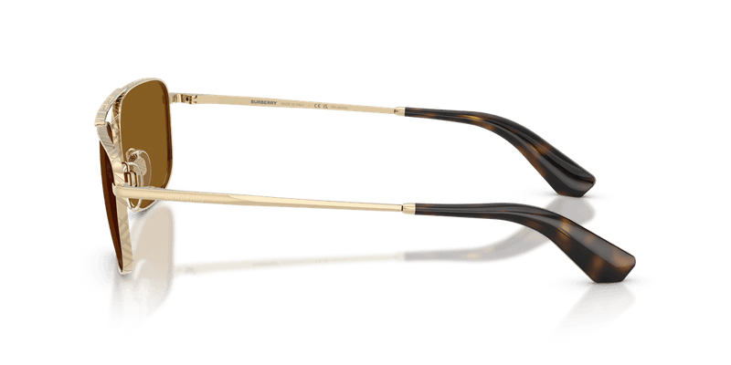 Light Gold / Polarized Brown (110983)-variant-image