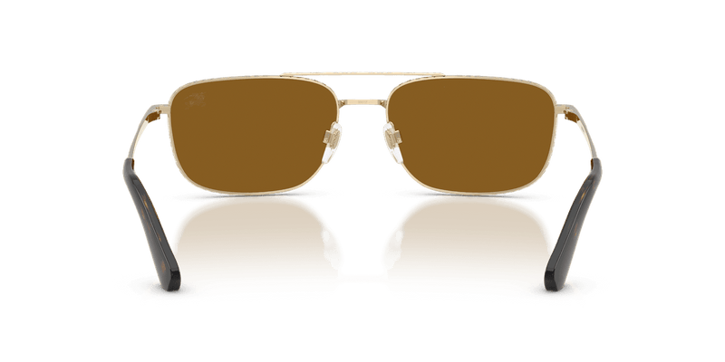 Light Gold / Polarized Brown (110983)-variant-image
