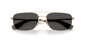 Light Gold / Dark Grey (110987)