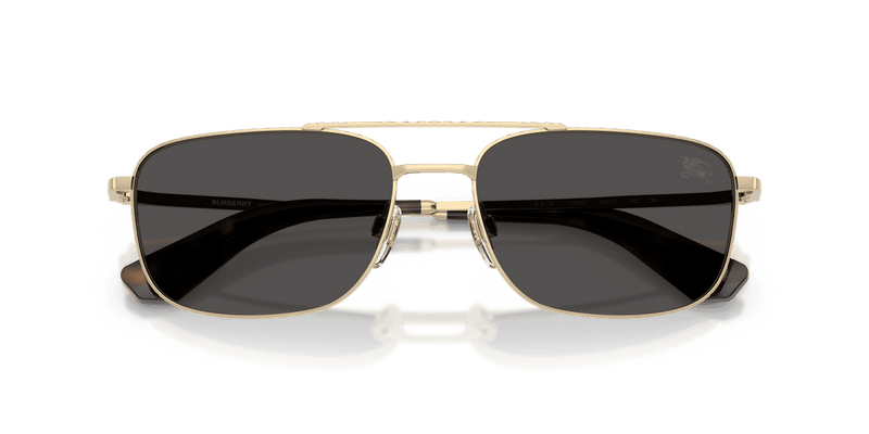 Light Gold / Dark Grey (110987)-swatch