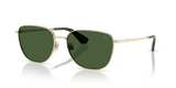 Light Gold / Dark Green (110971)