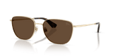 Light Gold / Dark Brown (110973)