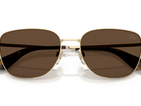 Light Gold / Dark Brown (110973)