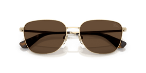 Light Gold / Dark Brown (110973)