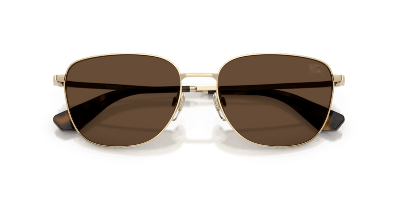 Light Gold / Dark Brown (110973)-swatch