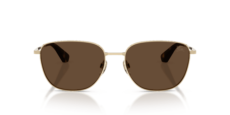 Light Gold / Dark Brown (110973)-variant-image