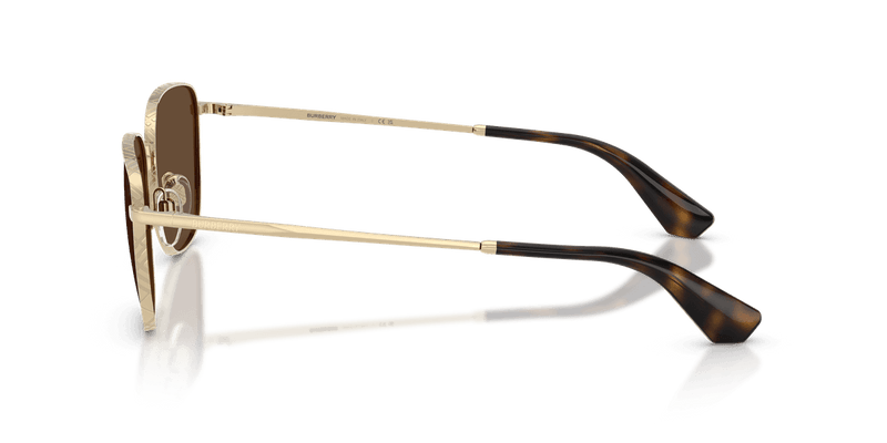 Light Gold / Dark Brown (110973)-variant-image