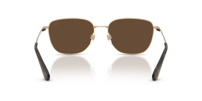 Light Gold / Dark Brown (110973)-variant-image