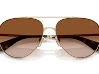 Light Gold / Brown Gradient (110913)