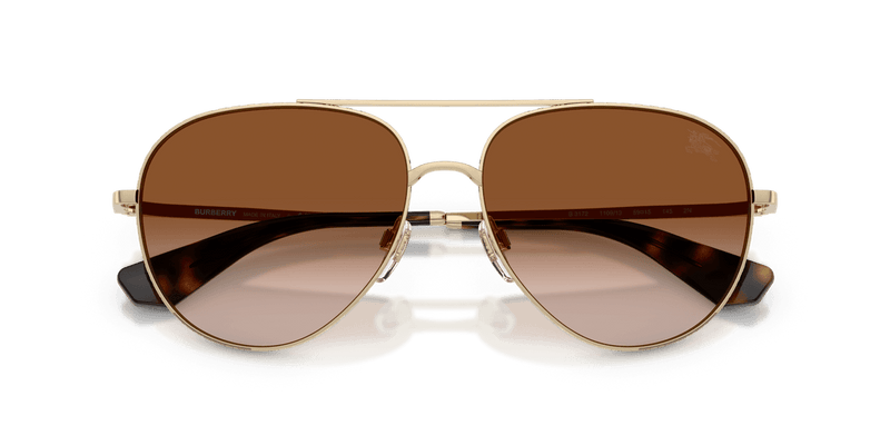 Light Gold / Brown Gradient (110913)-swatch