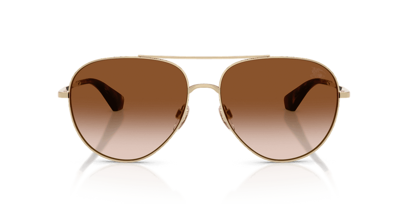 Light Gold / Brown Gradient (110913)-variant-image