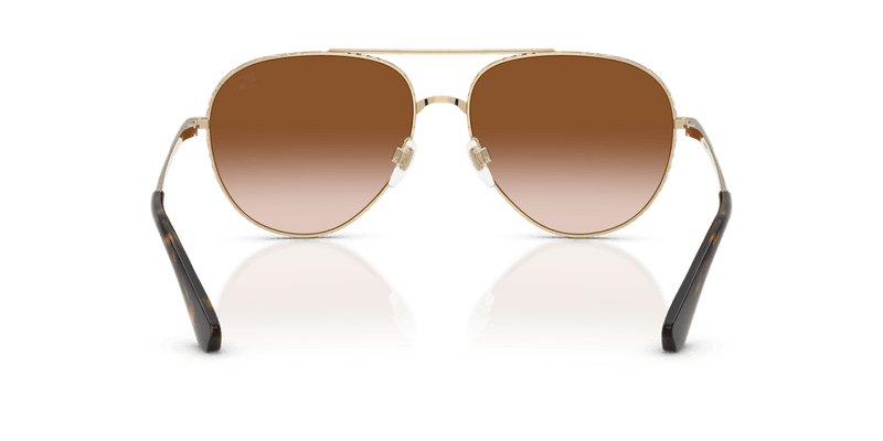 Light Gold / Brown Gradient (110913)-variant-image