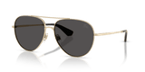Light Gold / Dark Grey (110987)