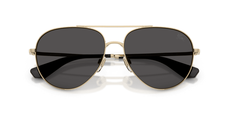 Light Gold / Dark Grey (110987)-swatch