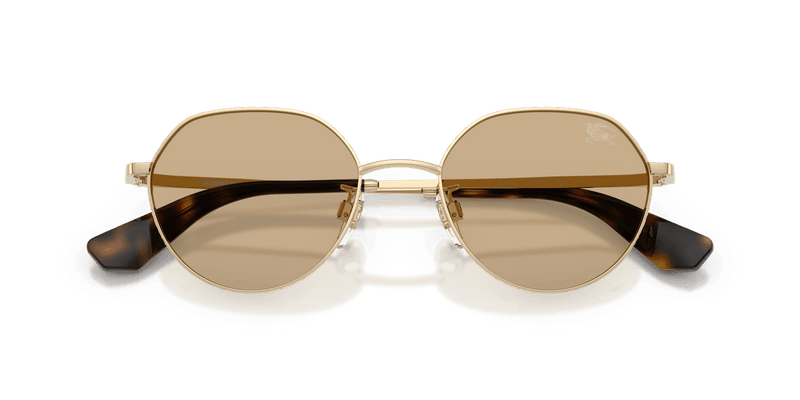 Light Gold / Dark Brown (110973)-swatch