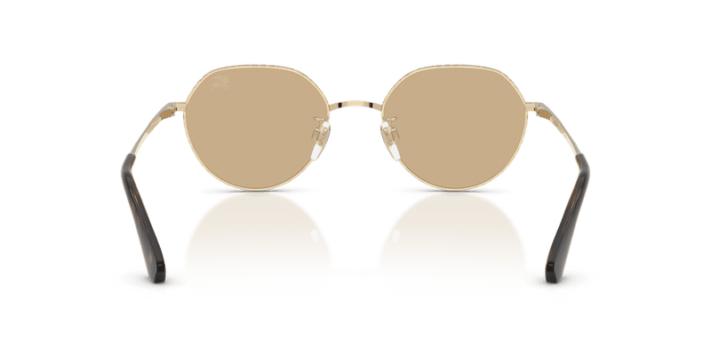 Light Gold / Dark Brown (110973)-variant-image