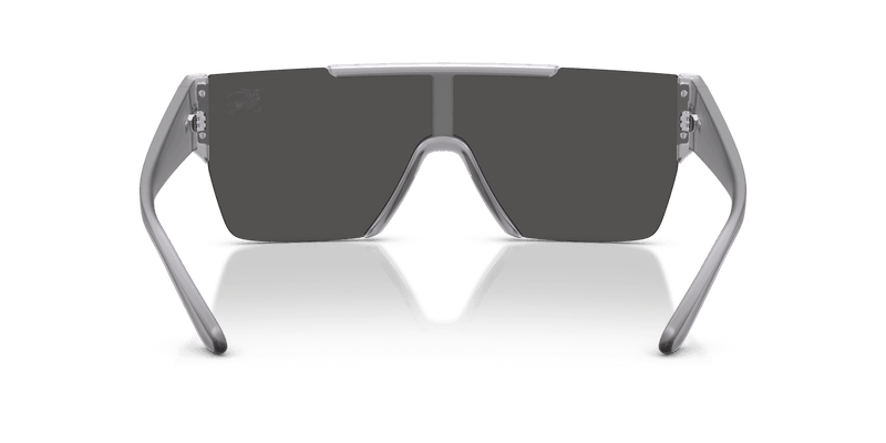 Transparent Matte Grey / Dark Grey (421387)-variant-image