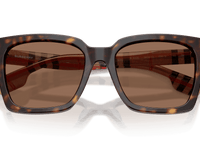 Dark Havana / Dark Brown (390373)