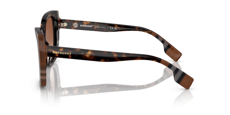 Dark Havana/Check Brown / Brown Gradient (405313)-variant-image