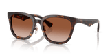 Dark Havana / Brown Gradient (300213)