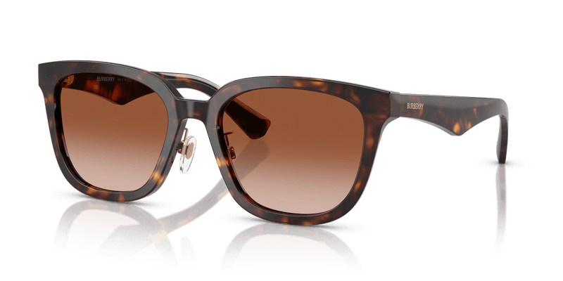 Dark Havana / Brown Gradient (300213)