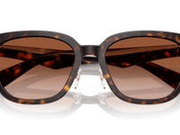 Dark Havana / Brown Gradient (300213)