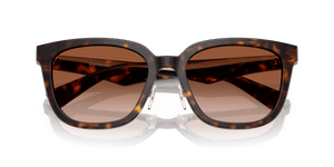 Dark Havana / Brown Gradient (300213)