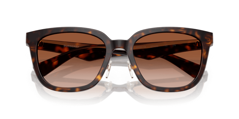 Dark Havana / Brown Gradient (300213)-swatch