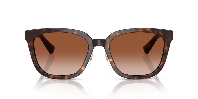 Dark Havana / Brown Gradient (300213)-variant-image