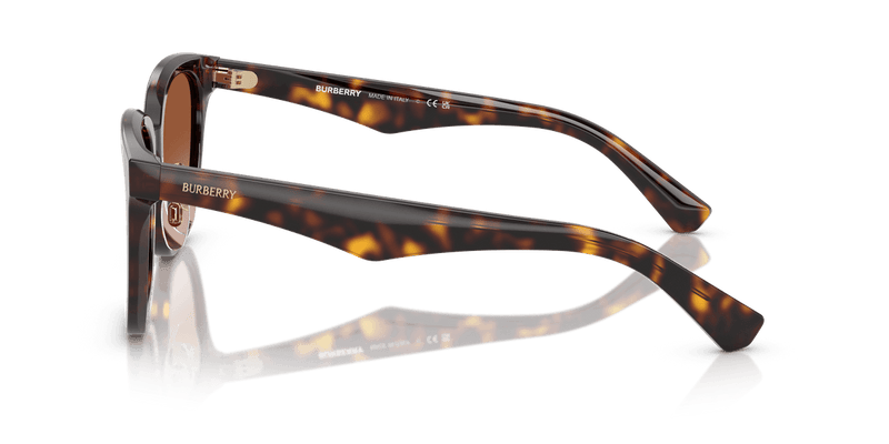 Dark Havana / Brown Gradient (300213)-variant-image