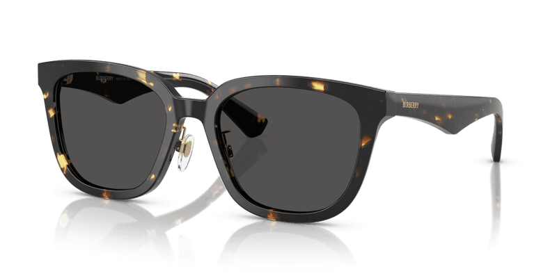 Dark Havana / Dark Grey (410687)