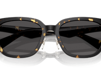 Dark Havana / Dark Grey (410687)