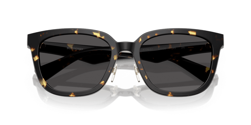 Dark Havana / Dark Grey (410687)-swatch