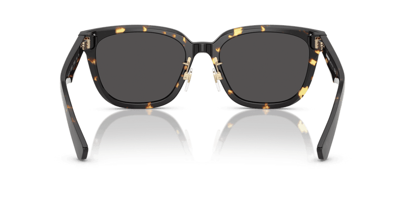 Dark Havana / Dark Grey (410687)-variant-image