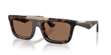 Dark Havana / Dark Brown (300273)