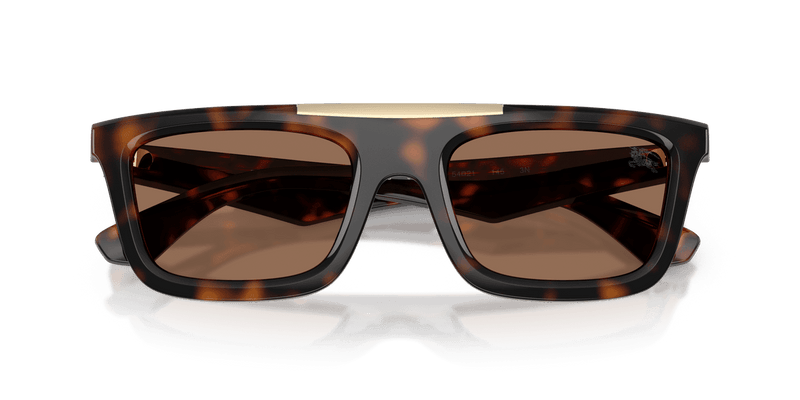 Dark Havana / Dark Brown (300273)-swatch