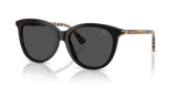 Black / Dark Grey