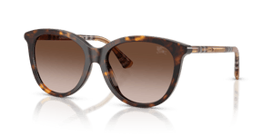 Dark Havana / Brown Gradient