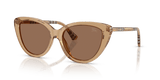 Beige / Dark Brown